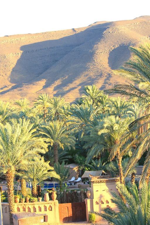 Ecolodge Bab El Oued Maroc Oasis Agdz Exteriér fotografie