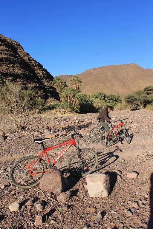 Ecolodge Bab El Oued Maroc Oasis Agdz Exteriér fotografie