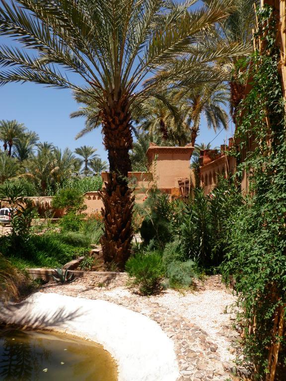 Ecolodge Bab El Oued Maroc Oasis Agdz Exteriér fotografie