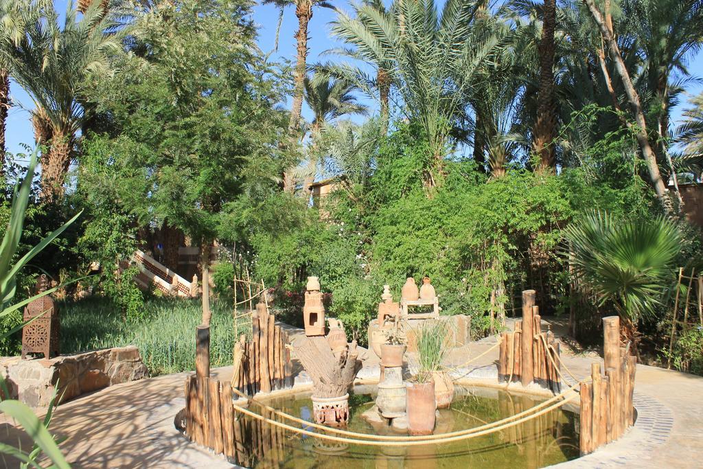 Ecolodge Bab El Oued Maroc Oasis Agdz Exteriér fotografie