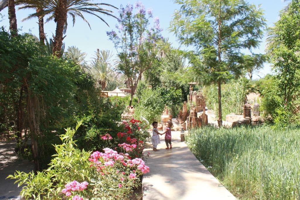 Ecolodge Bab El Oued Maroc Oasis Agdz Exteriér fotografie