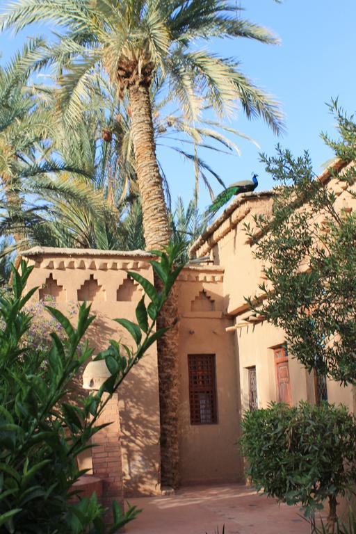 Ecolodge Bab El Oued Maroc Oasis Agdz Pokoj fotografie