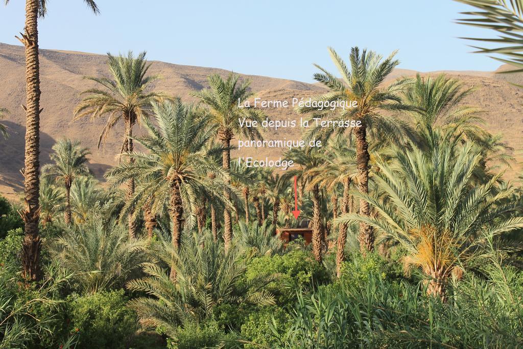 Ecolodge Bab El Oued Maroc Oasis Agdz Exteriér fotografie