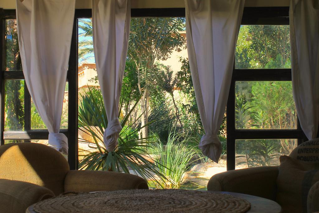 Ecolodge Bab El Oued Maroc Oasis Agdz Exteriér fotografie