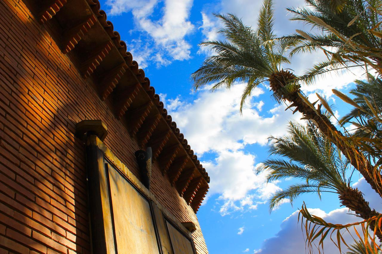 Ecolodge Bab El Oued Maroc Oasis Agdz Exteriér fotografie