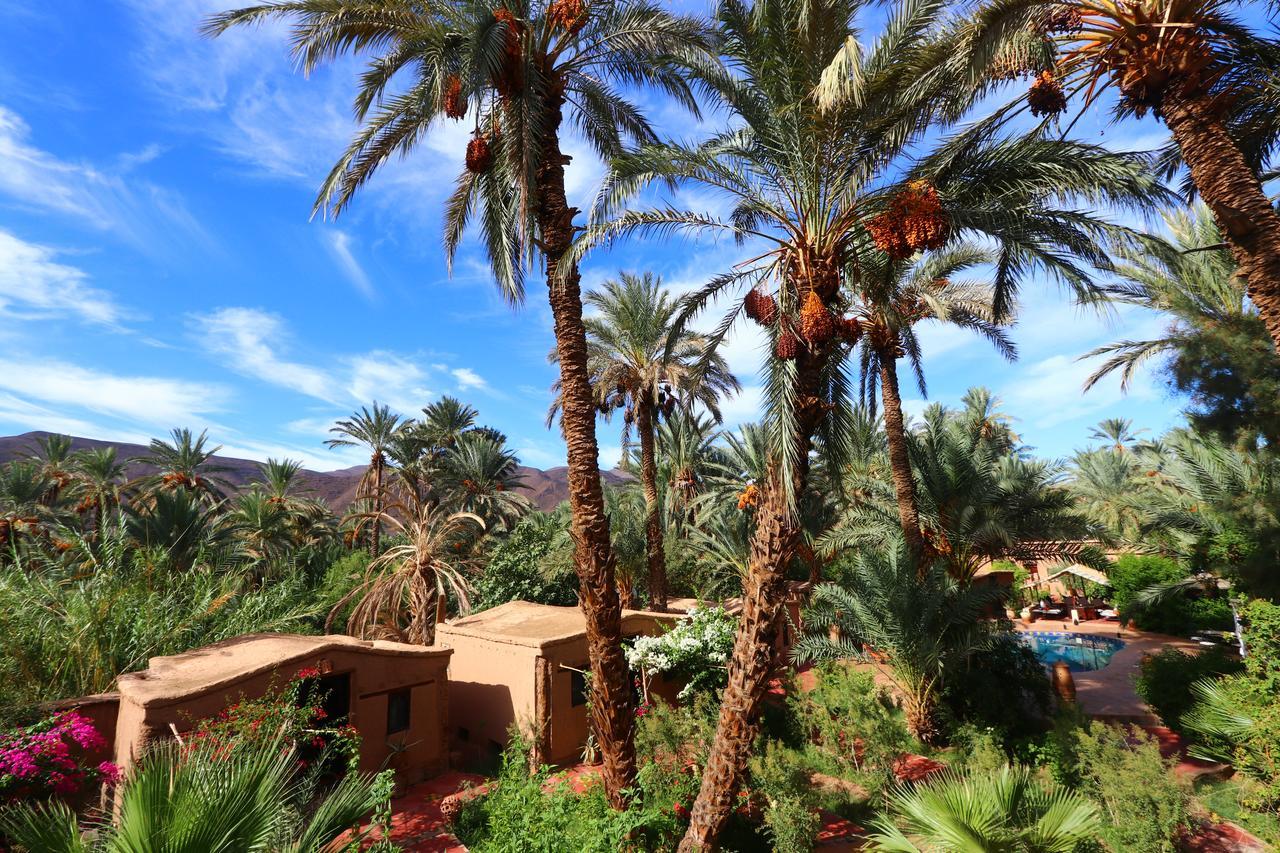 Ecolodge Bab El Oued Maroc Oasis Agdz Exteriér fotografie