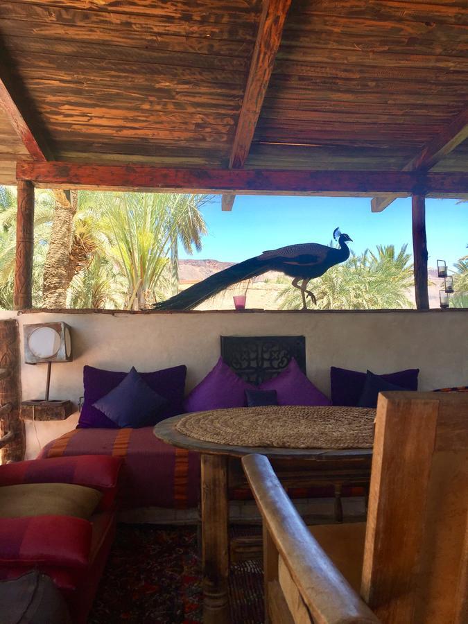 Ecolodge Bab El Oued Maroc Oasis Agdz Exteriér fotografie