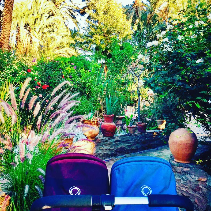 Ecolodge Bab El Oued Maroc Oasis Agdz Exteriér fotografie